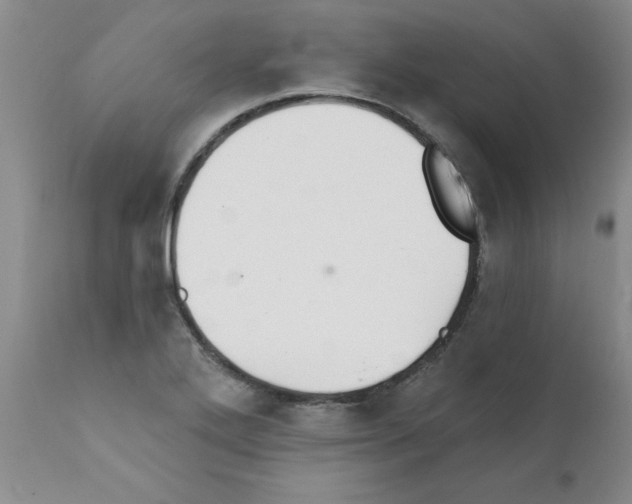 X0000111511272200908251104