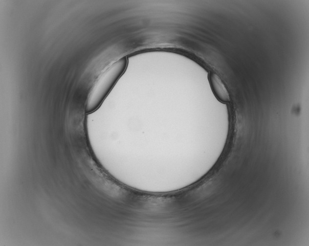 X0000111511273200908251104