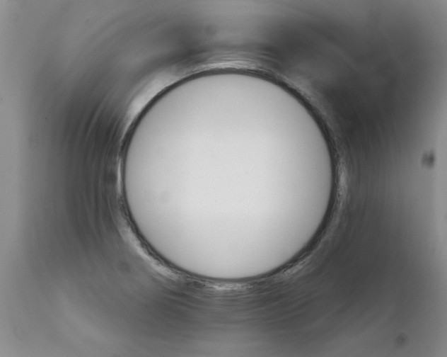 X0000111511274200908251104