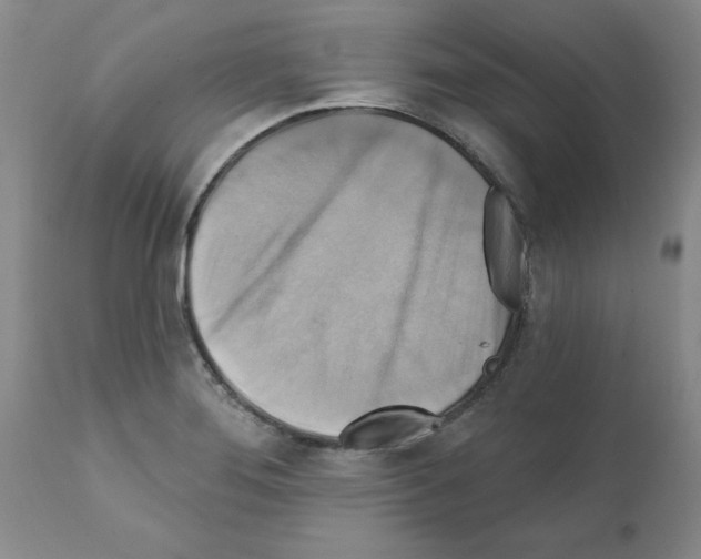 X0000111511276200908251104