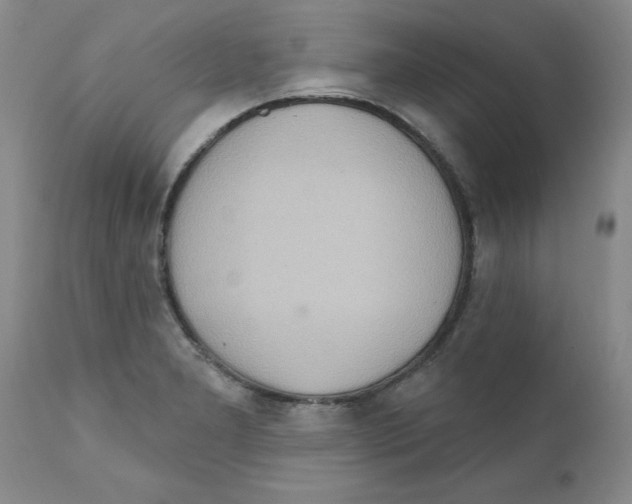 X0000111511277200908251104