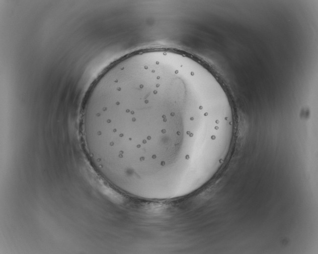 X0000111511278200908251104