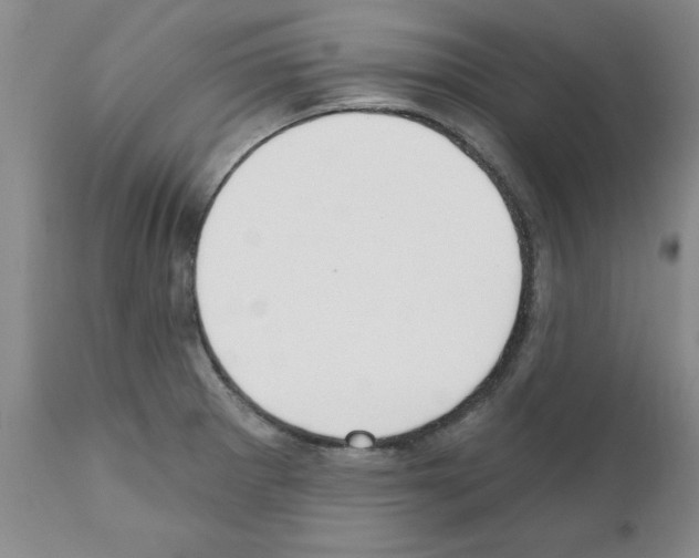 X0000111511281200908251104
