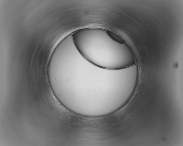 X0000111511284200908251104