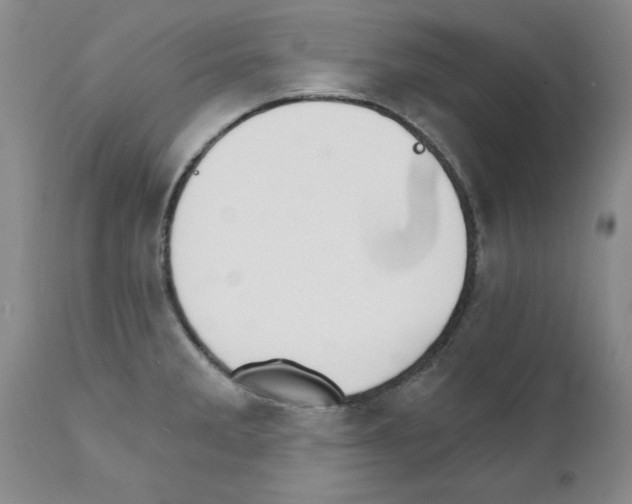 X0000111511285200908251104