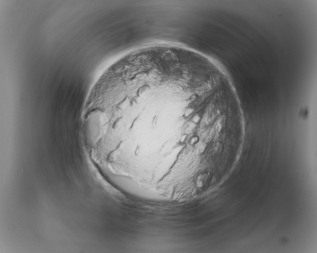 X0000111511287200908251104