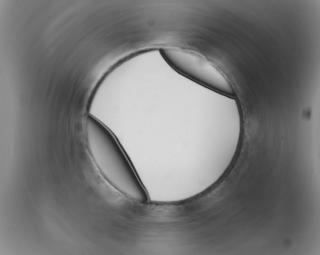 X0000111511288200908251104
