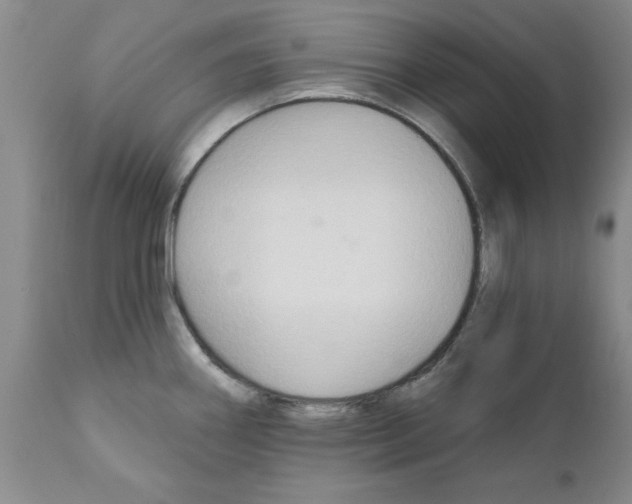 X0000111511290200908251104