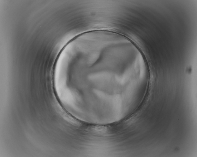 X0000111511291200908251104