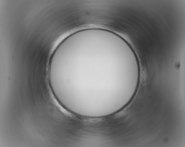 X0000111511294200908251104
