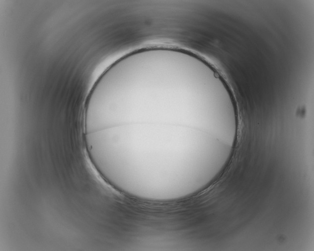 X0000111511295200908251104