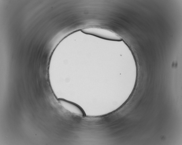 X0000111511296200908251104