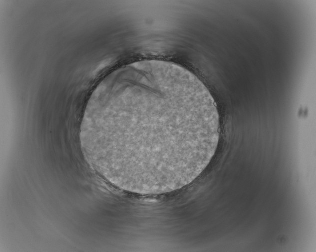 X0000111511297200908251103
