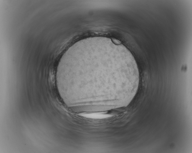 X0000111511298200908251103