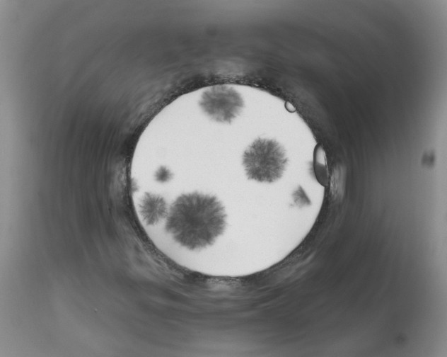 X0000111511299200908251103