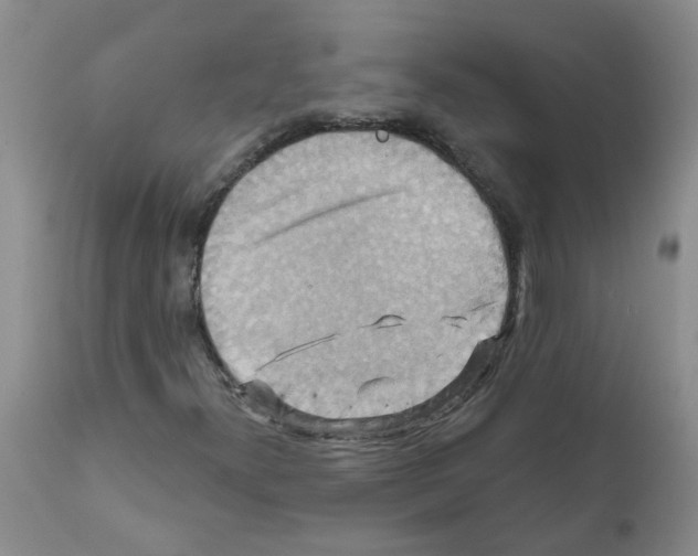 X0000111511300200908251103