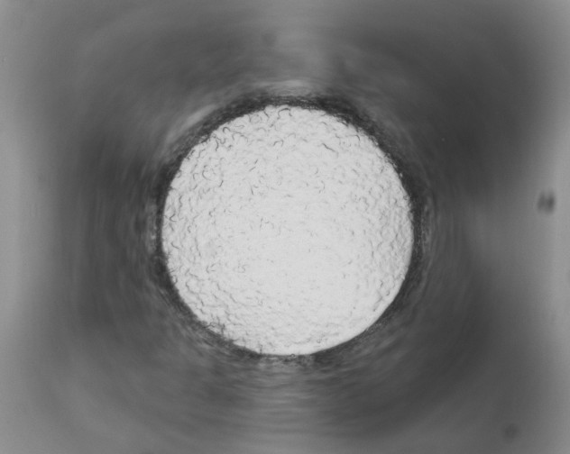 X0000111511301200908251103