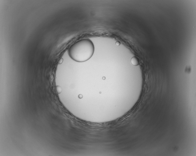 X0000111511302200908251103