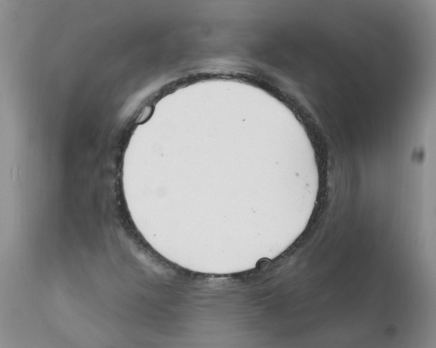 X0000111511304200908251103