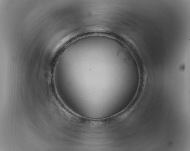 X0000111511306200908251104