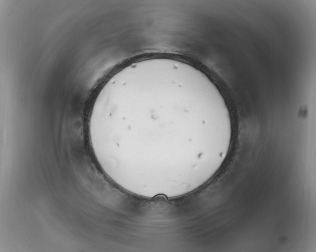 X0000111511307200908251104