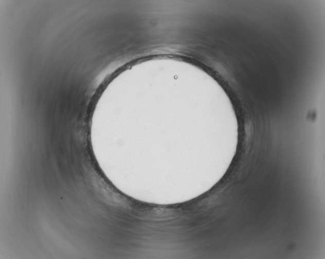 X0000111511308200908251104