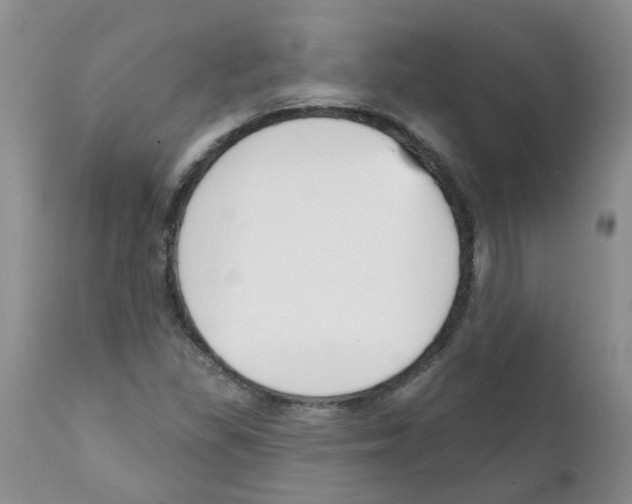 X0000111511309200908251104