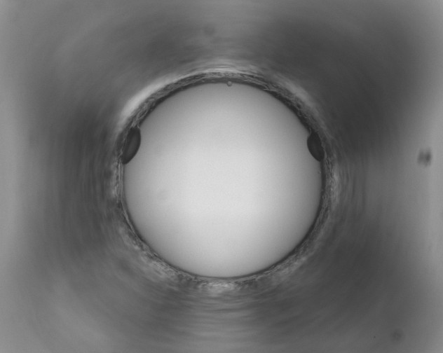X0000111511310200908251104
