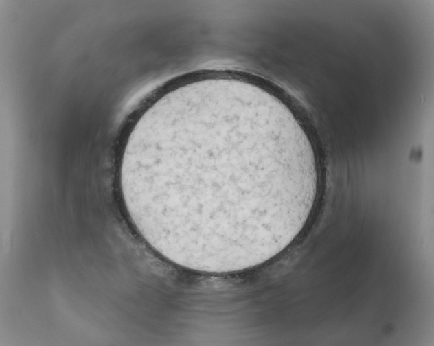 X0000111511311200908251104