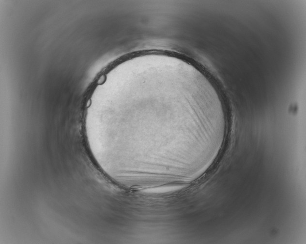 X0000111511312200908251104