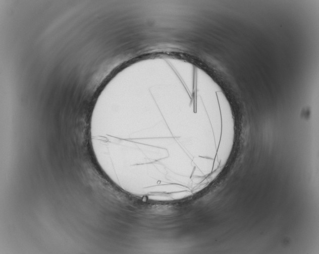 X0000111511313200908251104