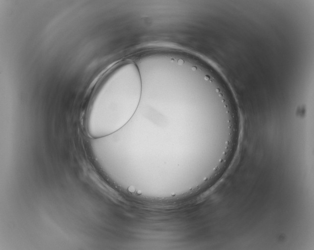 X0000111511314200908251104