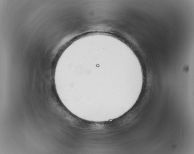 X0000111511315200908251104