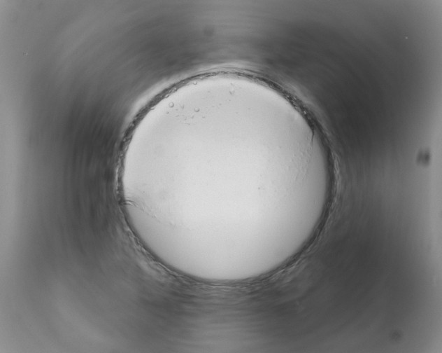 X0000111511316200908251104