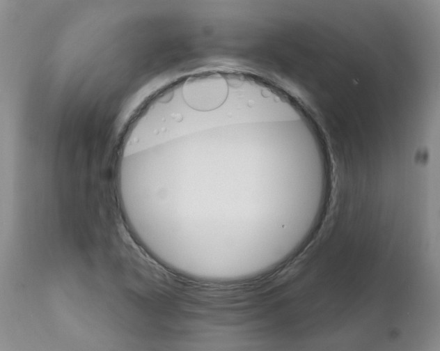 X0000111511318200908251104