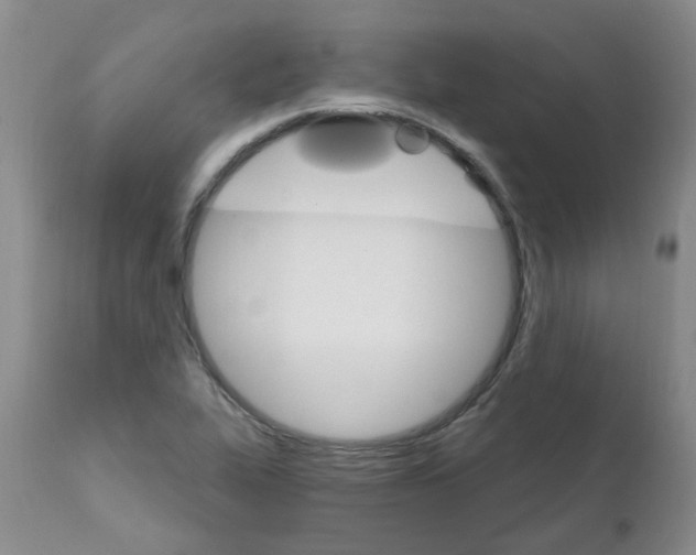 X0000111511319200908251104