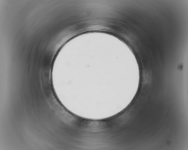 X0000111511322200908251104