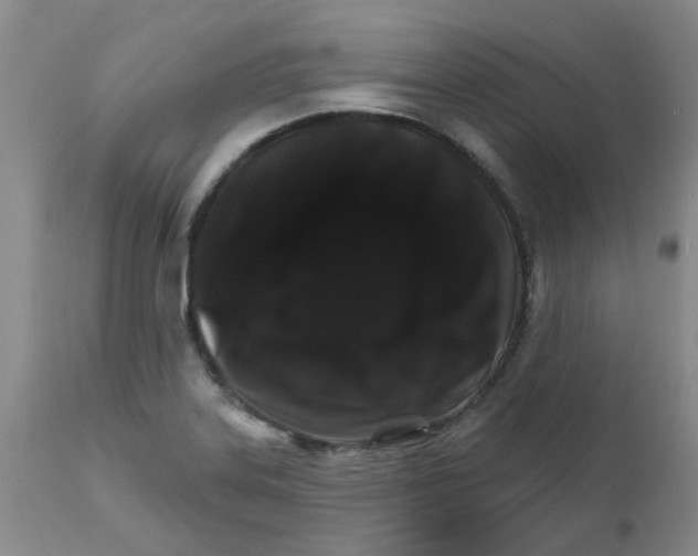X0000111511323200908251104