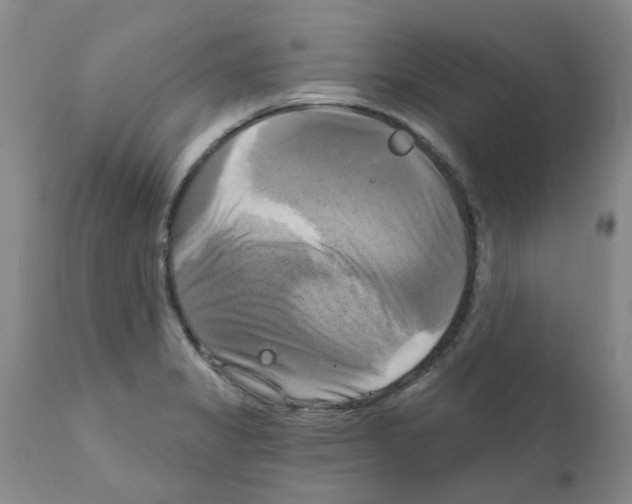 X0000111511325200908251104
