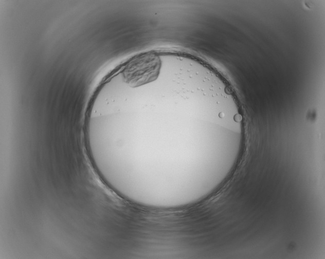 X0000111511327200908251104