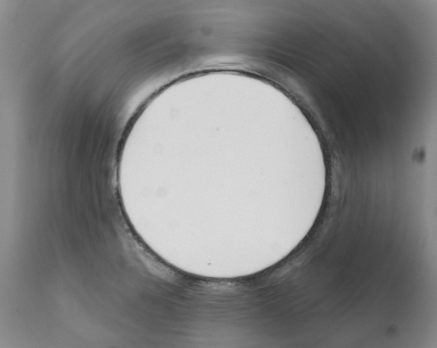 X0000111511328200908251104