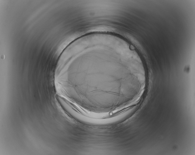X0000111511329200908251104