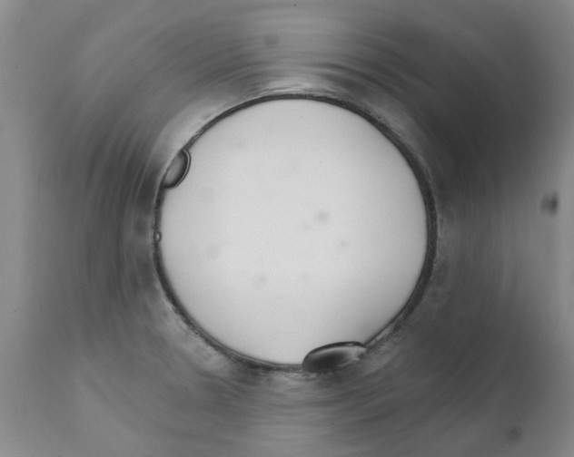 X0000111511330200908251104