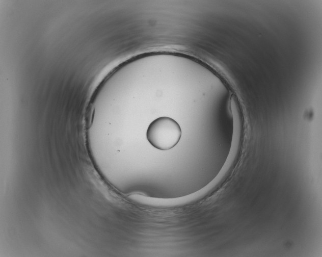 X0000111511332200908251104