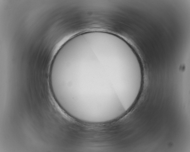 X0000111511333200908251104
