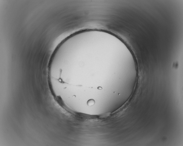 X0000111511335200908251104