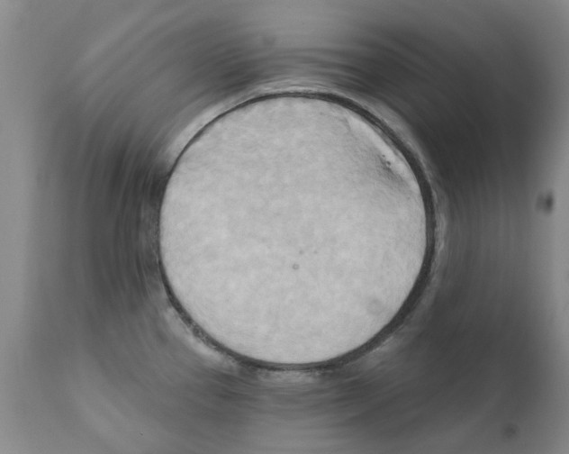X0000111511337200908251104