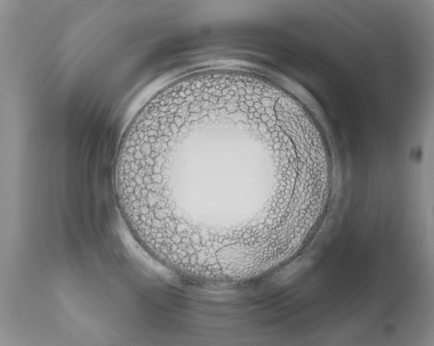 X0000111511338200908251104