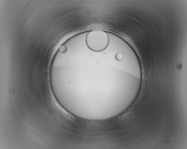 X0000111511339200908251104