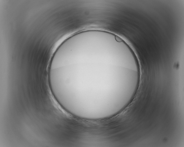 X0000111511341200908251104